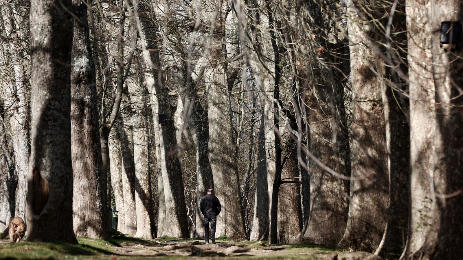 La entrada de un frente deja un descenso de temperaturas casi general