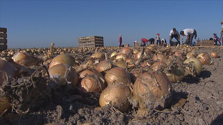 Agrosfera - Agrosfera - 18/03/23