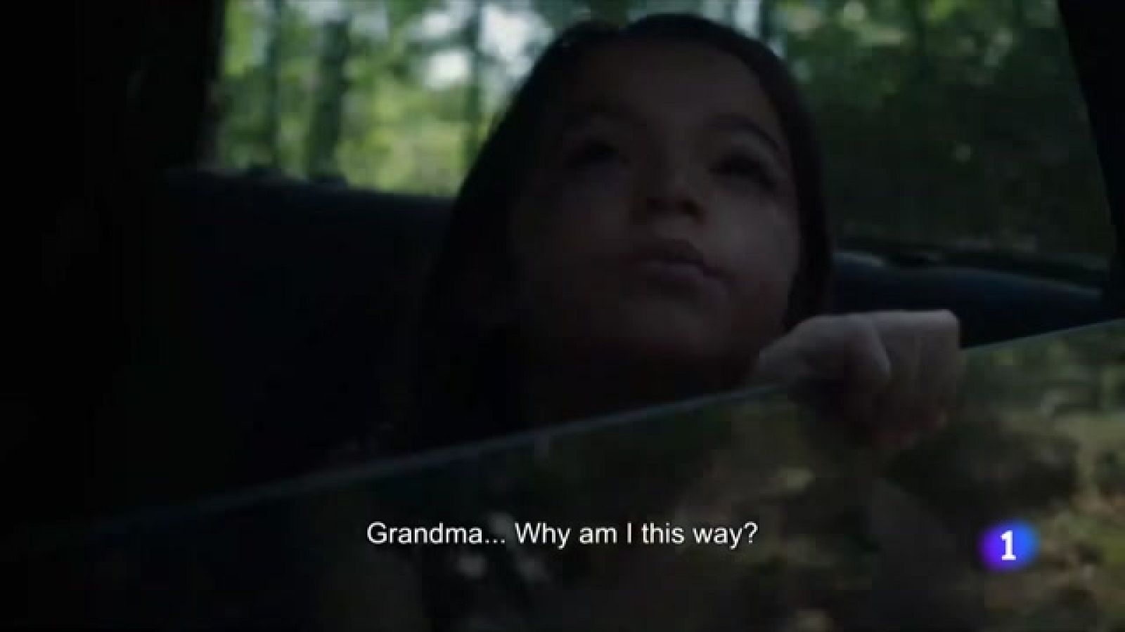 '20.000 especies de abejas', Biznaga de oro en el Festival de cine de Málaga -Ver ahora