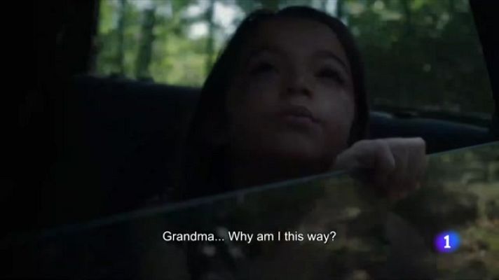 Telediario Fin de Semana - '20.000 especies de abejas', Biznaga de oro en el Festival de cine de Málaga