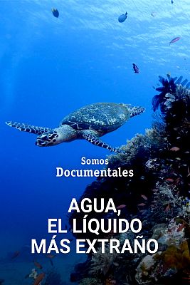 Somos Documentales - Agua, el líquido más extraño