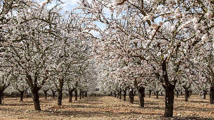 El tiempo - Cielos poco nubosos y temperaturas sin cambios importantes