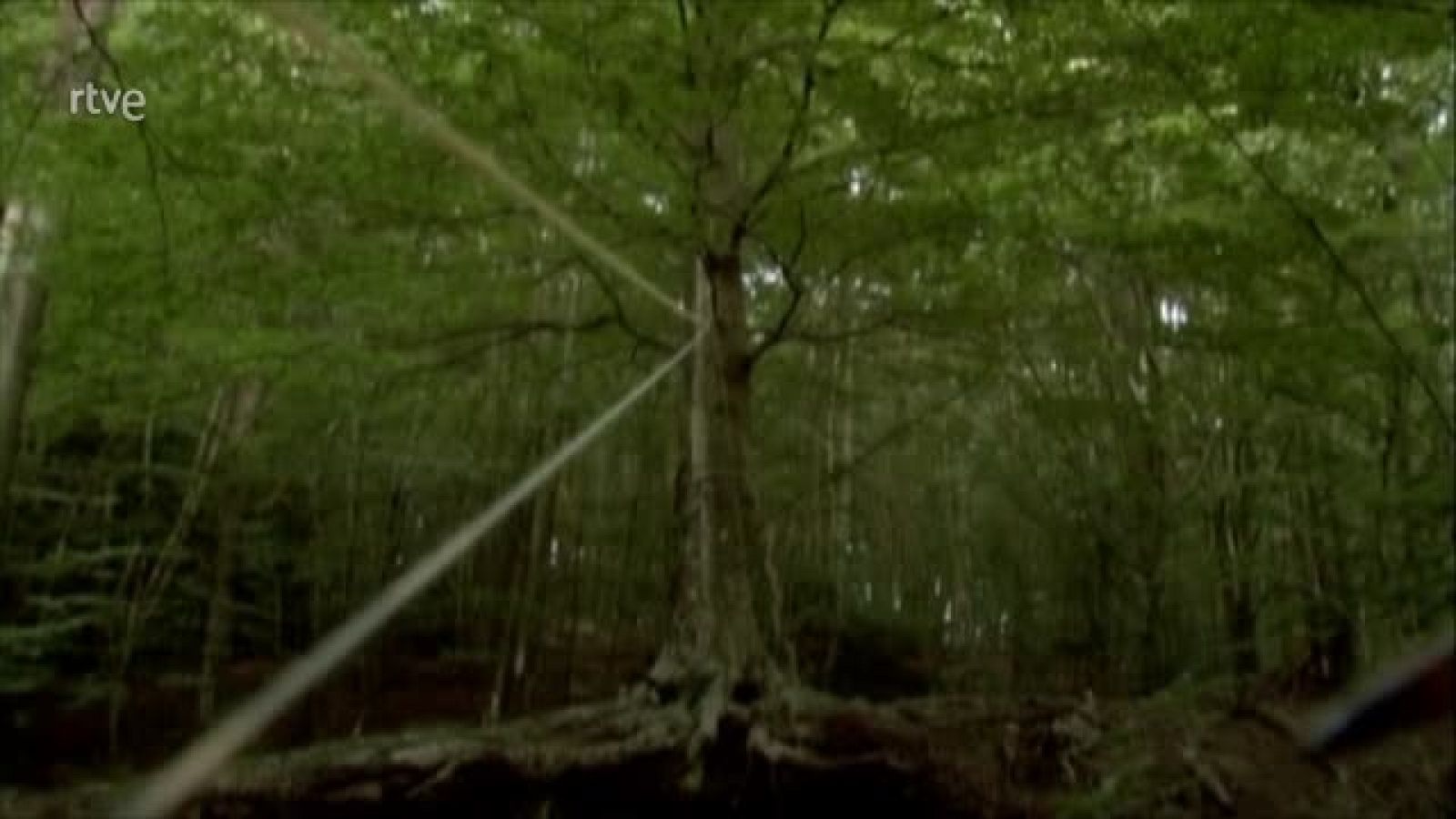 Metrópolis - PIKSEL 2022 (VOS) - ver ahora