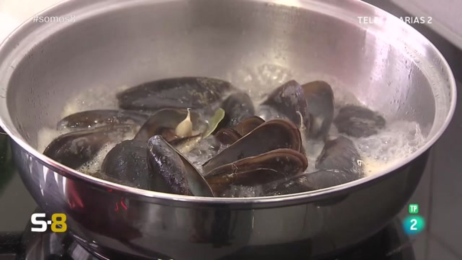 Somos 8 - 21/03/2023 - Somos 8 | Ver