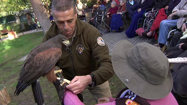 La aventura del Saber - Terapia con rapaces