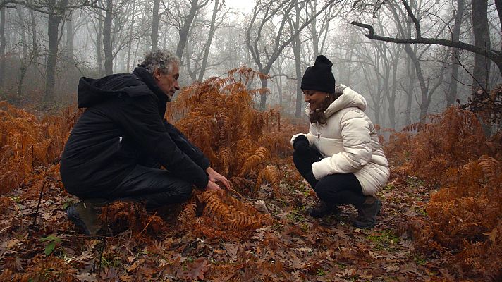 La dehesa de la acebeda