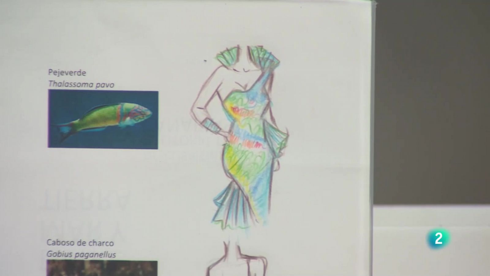 Telecanarias 2 - 22/03/2023 | Ver