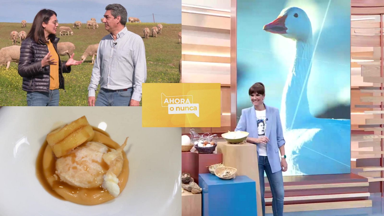 Ahora o nunca - Programa 43 - ver ahora