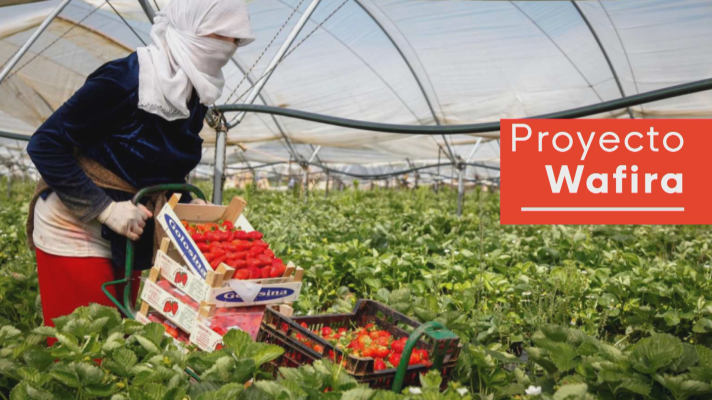 Noticias Andalucía - Temporeras emprendedoras