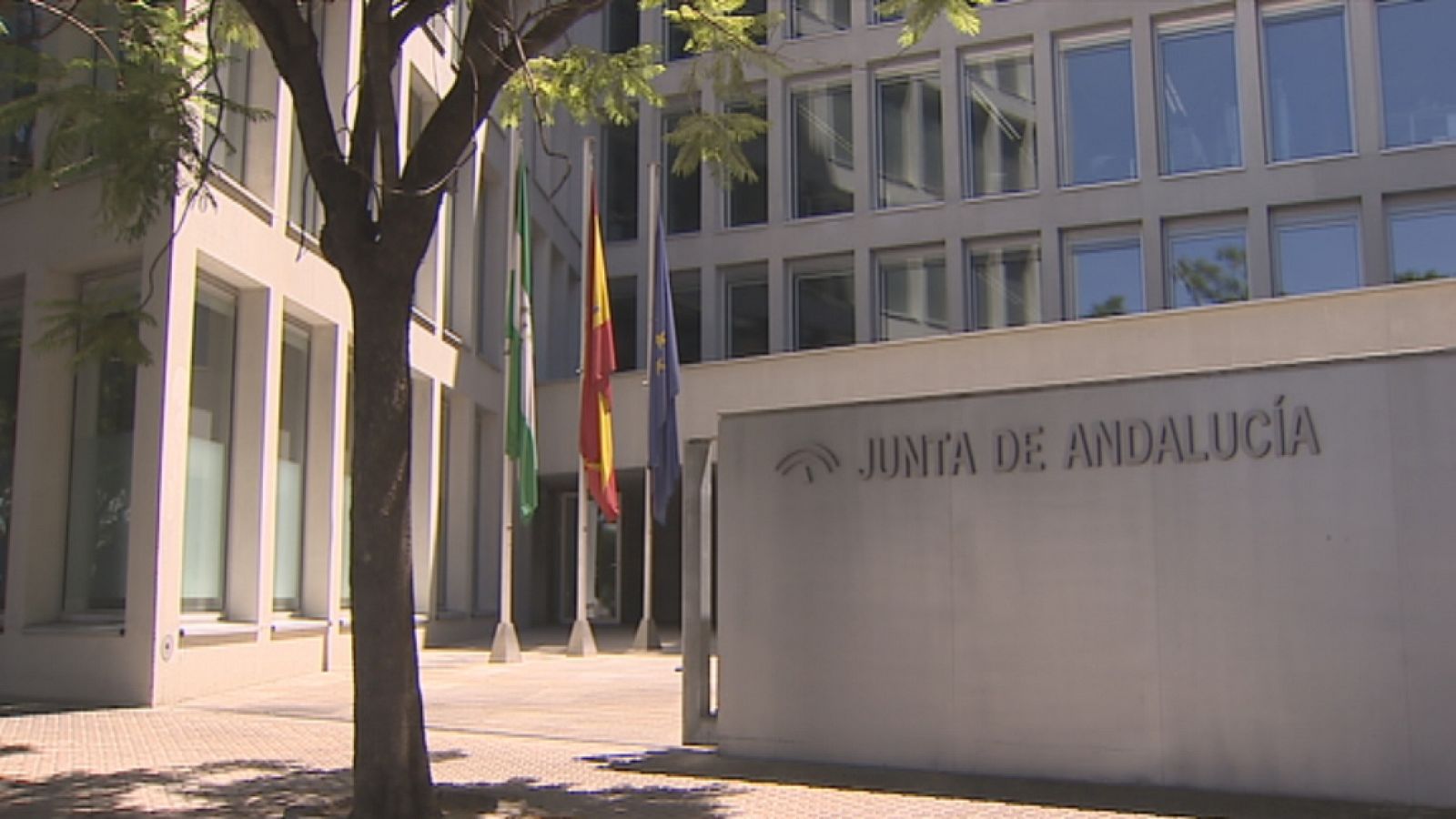 Polémica adjudicación de contratos - Ver ahora