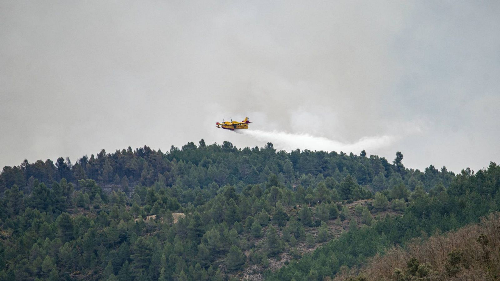 Incendio en Castellón: sigue sigue sin control tras calcinar más de 1.000 hectáreas