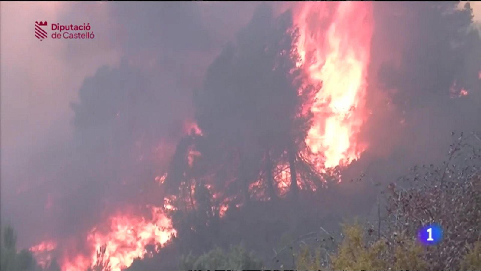 L'Informatiu de la Comunitat Valenciana 2 - 24/03/23 ver ahora