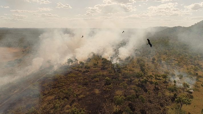 Sobrevivir a las catástrofes. Las estrategías de la naturale