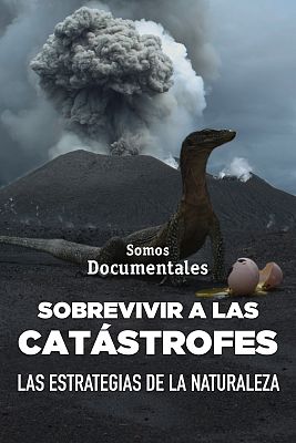 Somos Documentales - Sobrevivir a las catástrofes. Las estrategías de la naturaleza