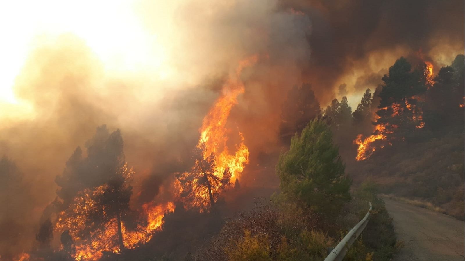 La tarde en 24 horas - 24/03/23 - ver ahora