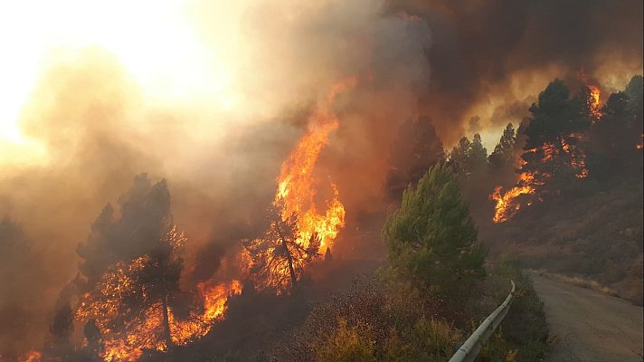 La tarde en 24h - La tarde en 24 horas - 24/03/23
