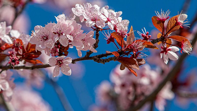 Bajan las temperaturas en el Mediterráneo y en Valencia