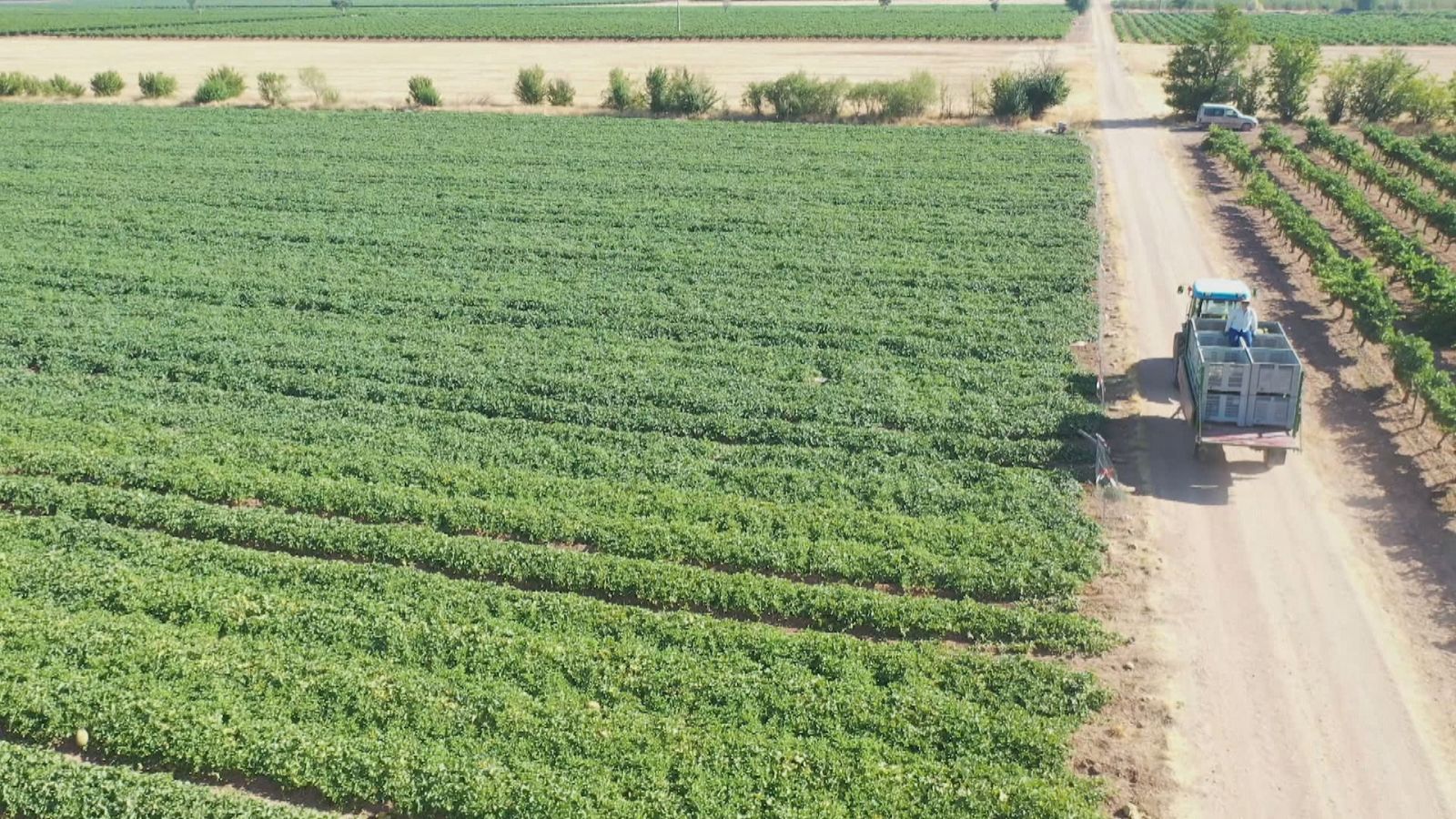 Agrosfera - 25/03/23 - ver ahora