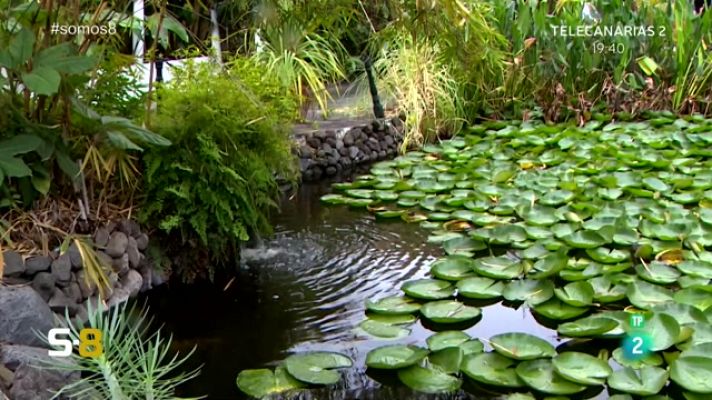 Somos 8 - Somos 8 - 24/03/2023