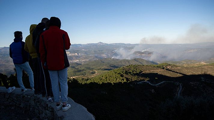 La delegada del Gobierno en la Comunidad Valenciana asegura que "el factor humano ha sido determinante" en el incendio de Castellón