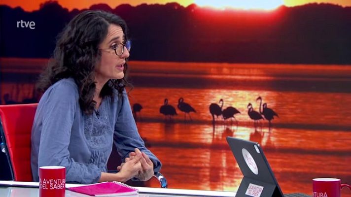 La aventura del Saber - Teresa Gil de WWF. La situación de Doñana