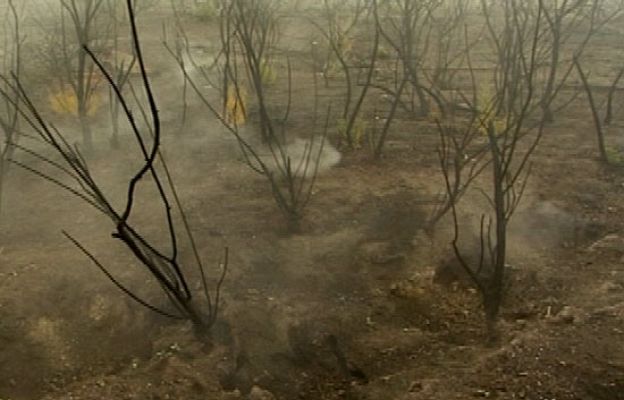 La tierra escupía fuego. Fragmento