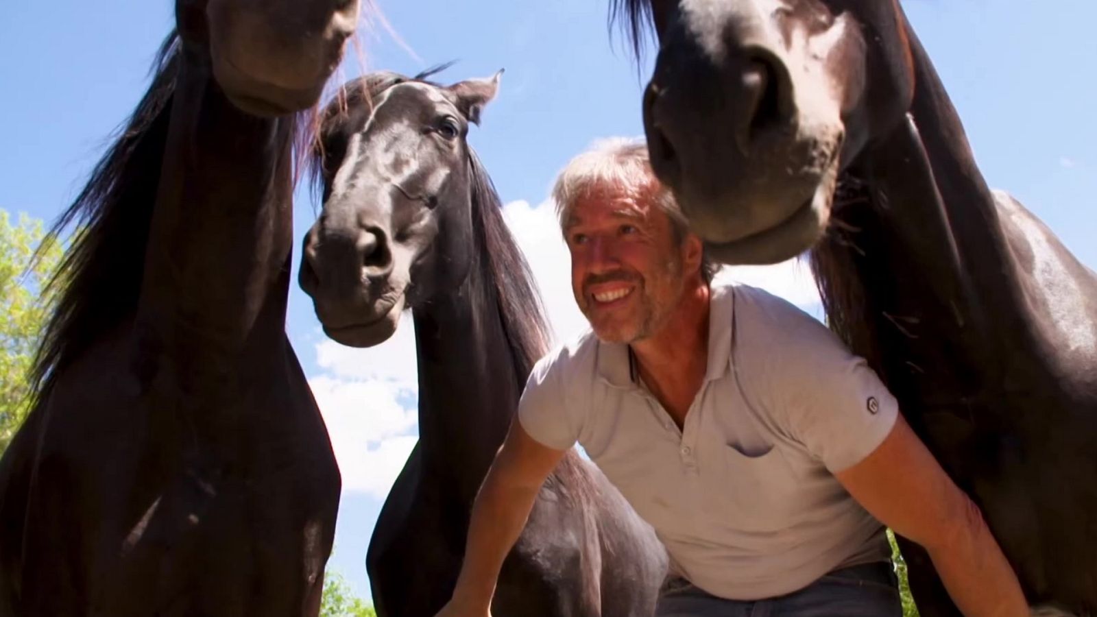 Hípica - Programa FEI Ride - Episodio 6 - RTVE Play