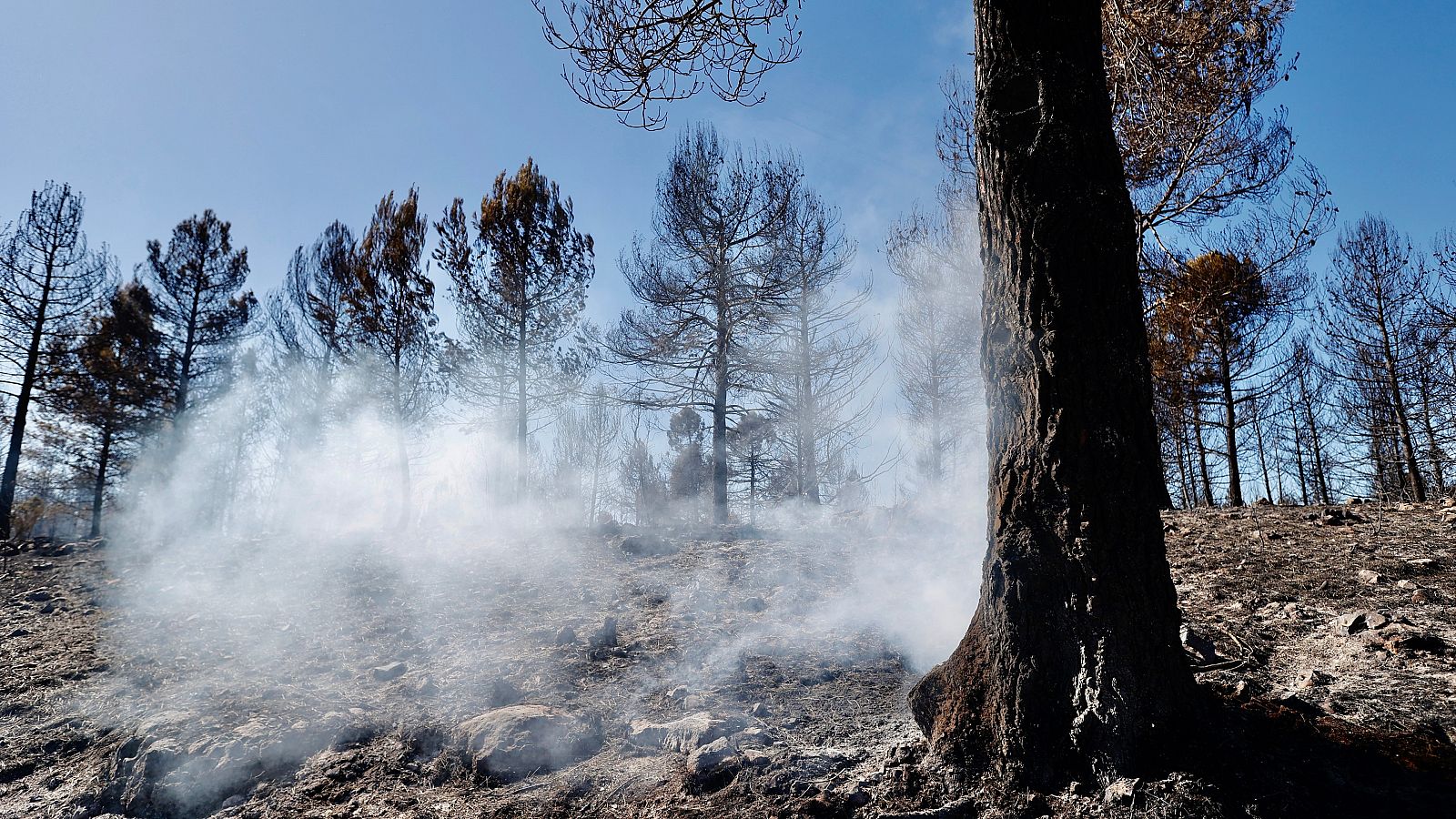 El cambio climático intensifica los fuegos