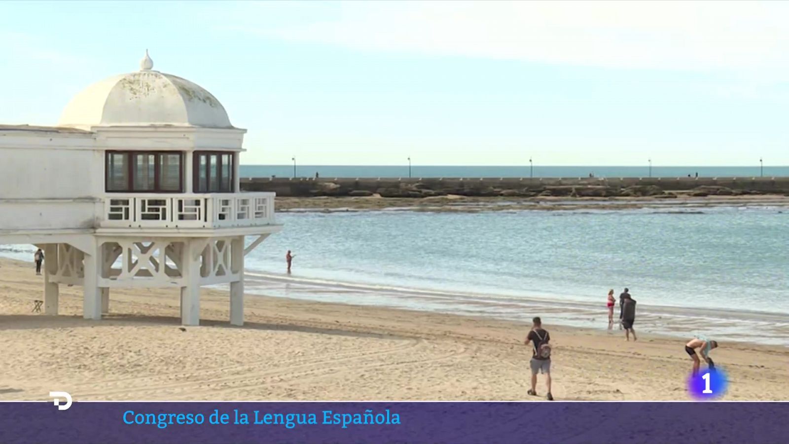 Cádiz se llena de literatura y visitantes | Ver