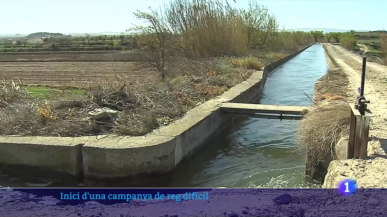 Comença una campanya de reg complicada al canal d'Urgell