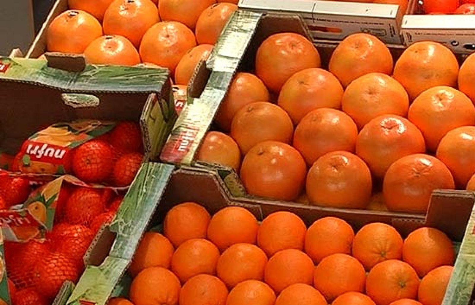 Se celebra en Berlín 'Fruit Logística', la feria internacional de frutas y hortalizas | Ver