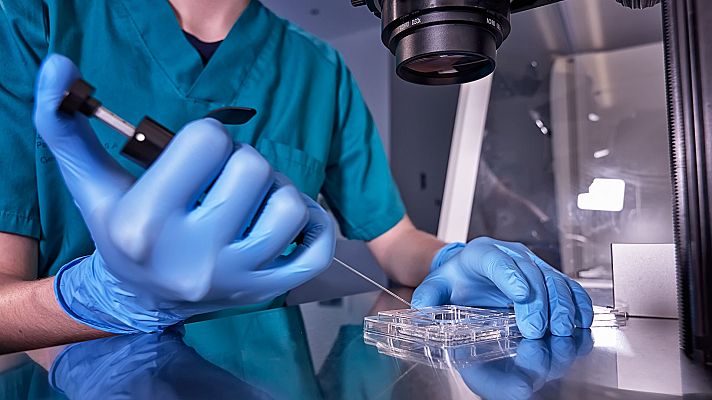 Telediario 1 - Demandan a un donante de semen relacionado con más de 550 nacimientos