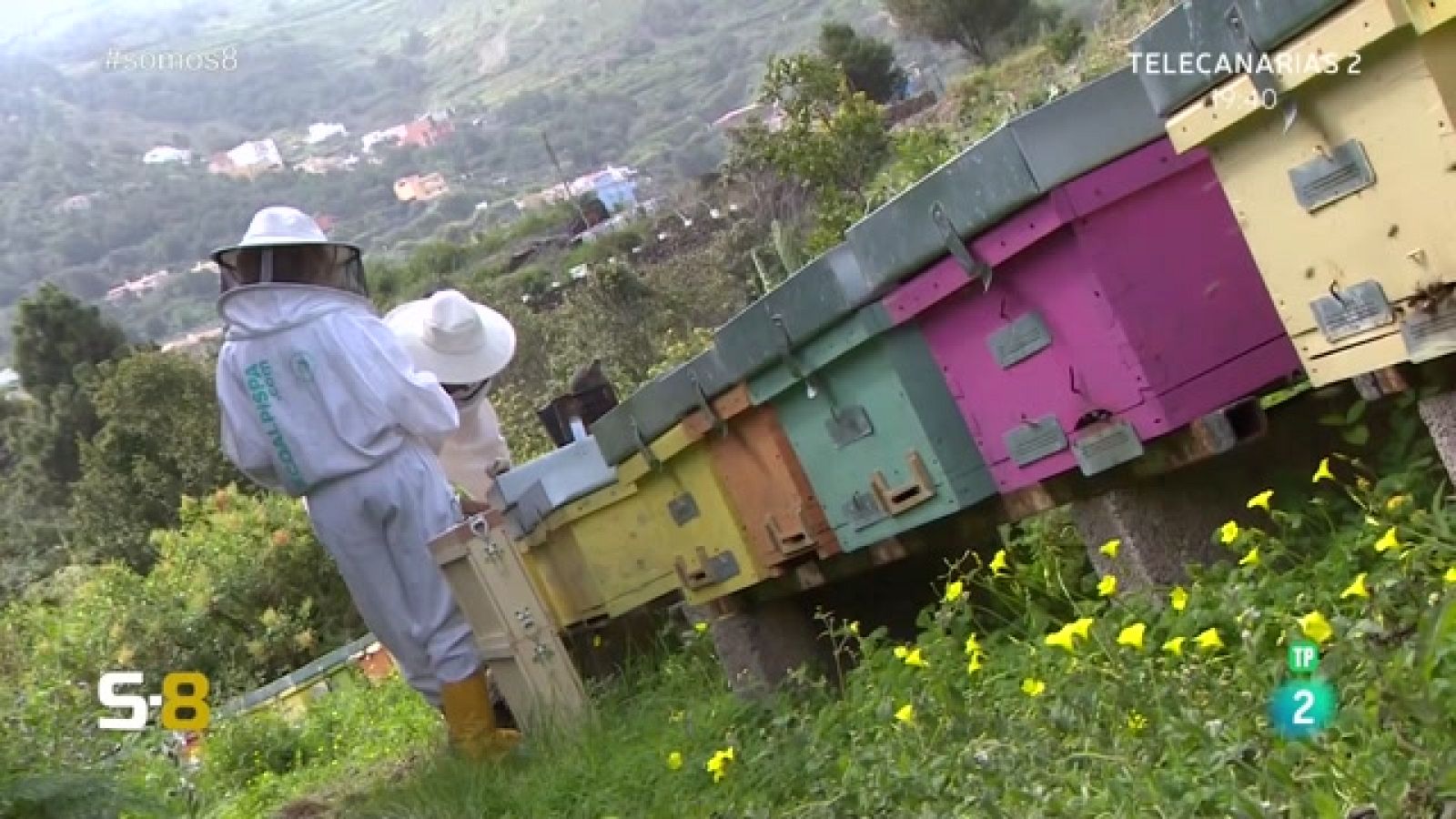 Somos 8 - 28/03/2023 | Magazine de la actualidad canaria - Somos 8 | Ver