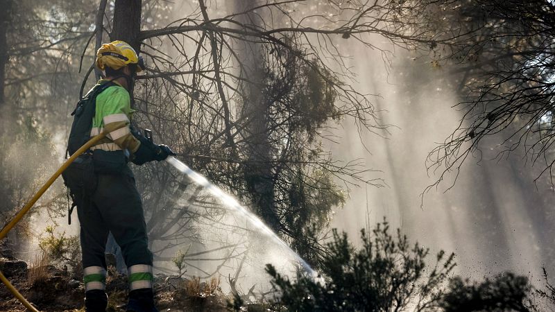 El incendio de Castellón da una tregua y algunos vecinos evacuados podrán volver a sus casas