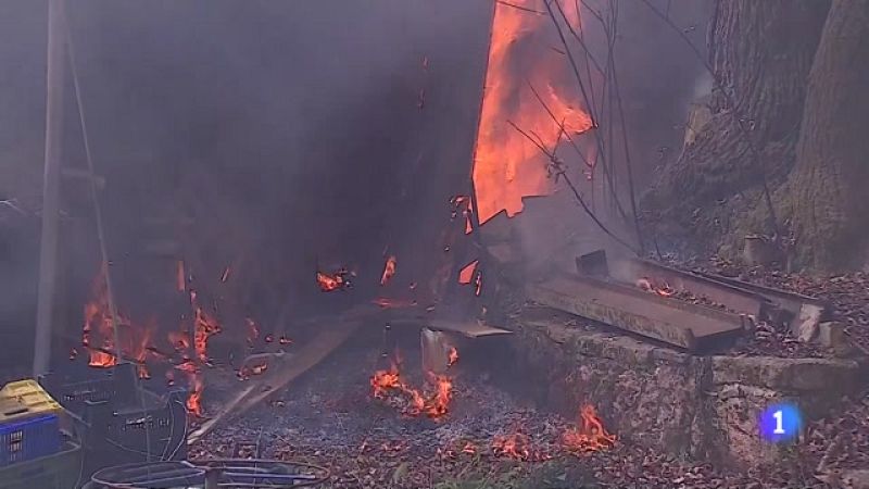 Panorama Regional 2 - 29/03/2023 - Ver ahora 