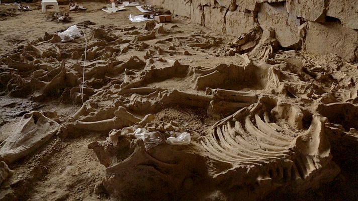 Arqueomanía - El día del juicio. Parte I