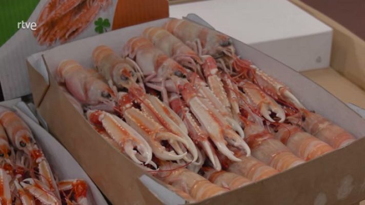 Aquí la Tierra - La pesca en Irlanda