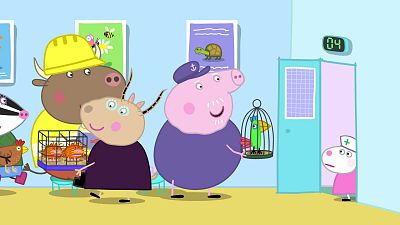 A day with doctor hamster