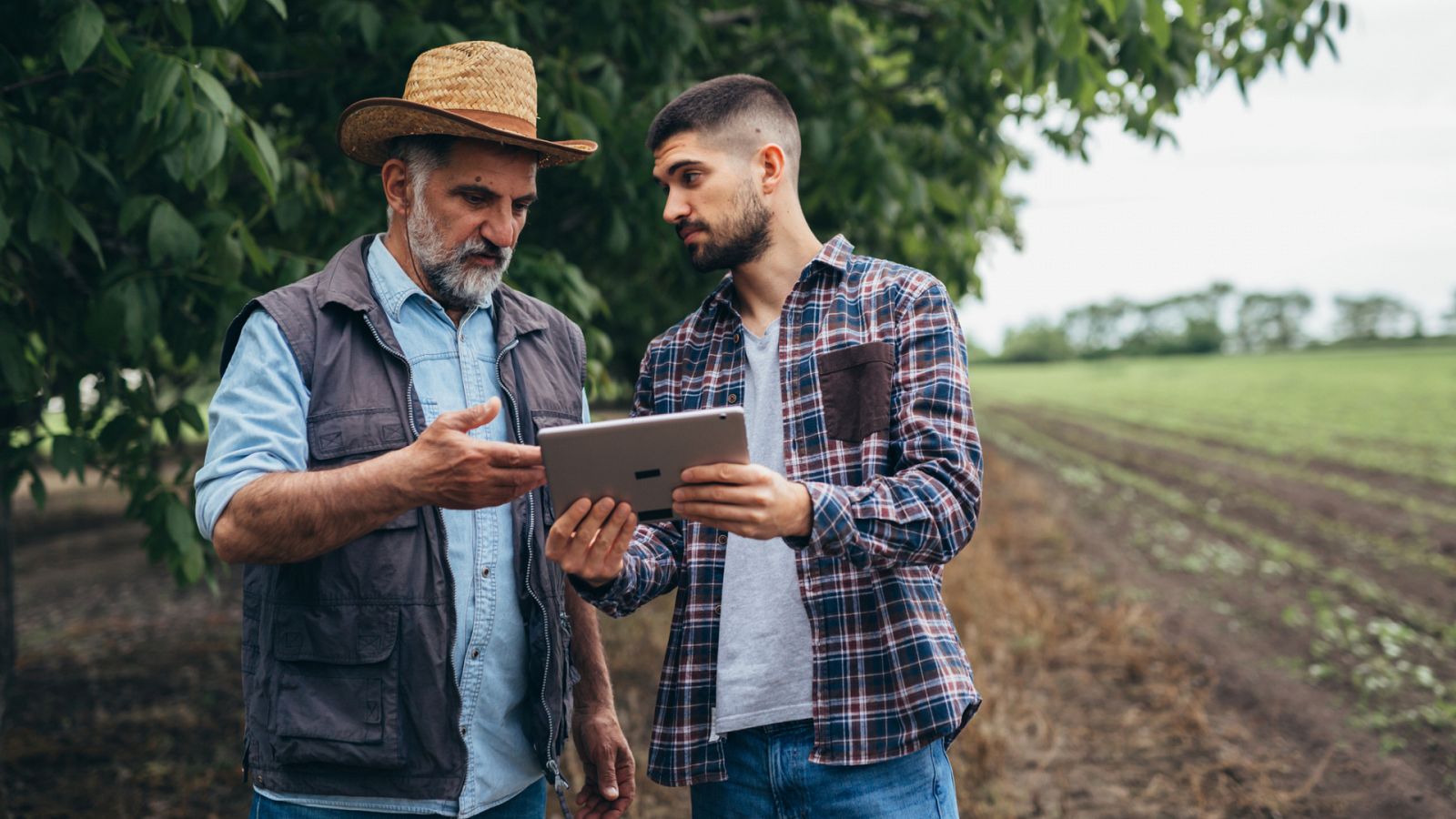 La digitalización llega a los pueblos rurales