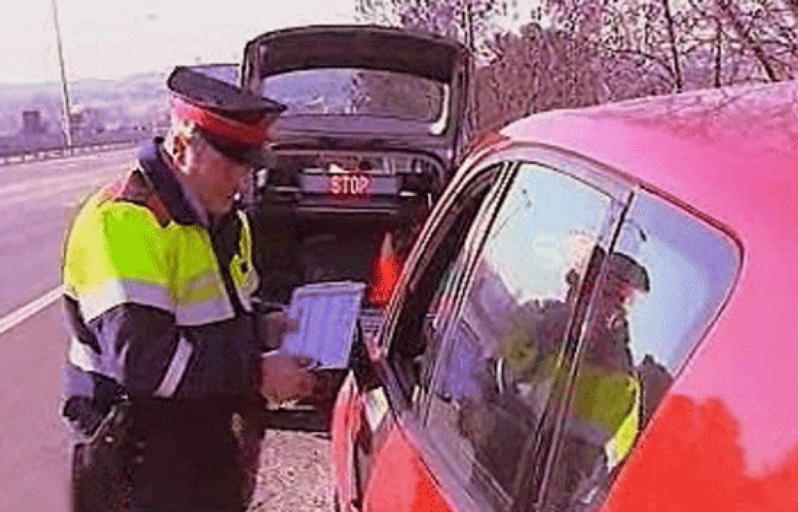 España Directo - A la caza del infractor | Ver