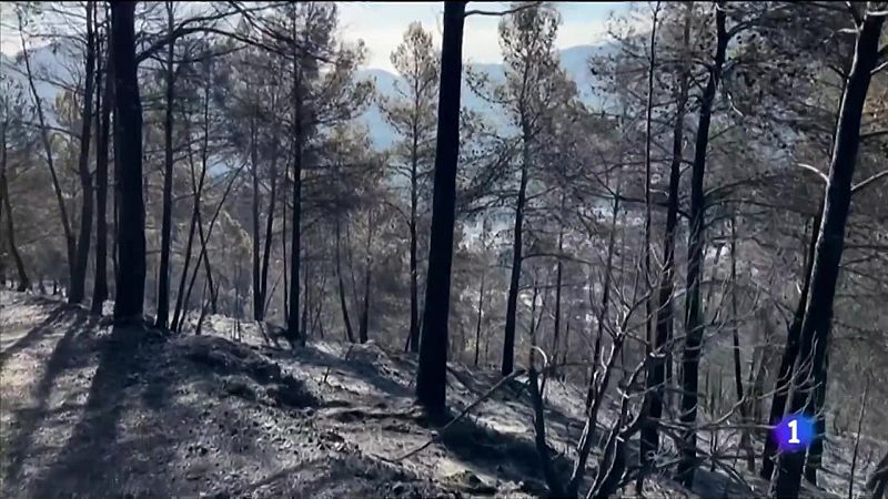 L'Informatiu de la Comunitat Valenciana 1 - 31/03/23 ver ahora