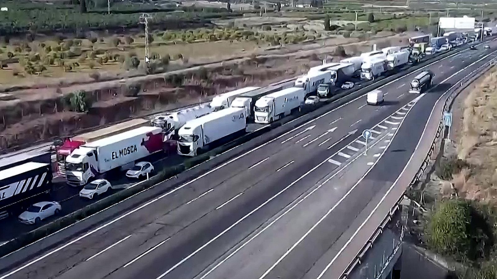 La tarde en 24 horas - 31/03/23 - ver ahora