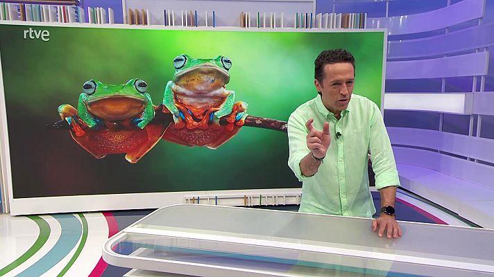 Aquí la Tierra - Aquí la Tierra - 31/03/23