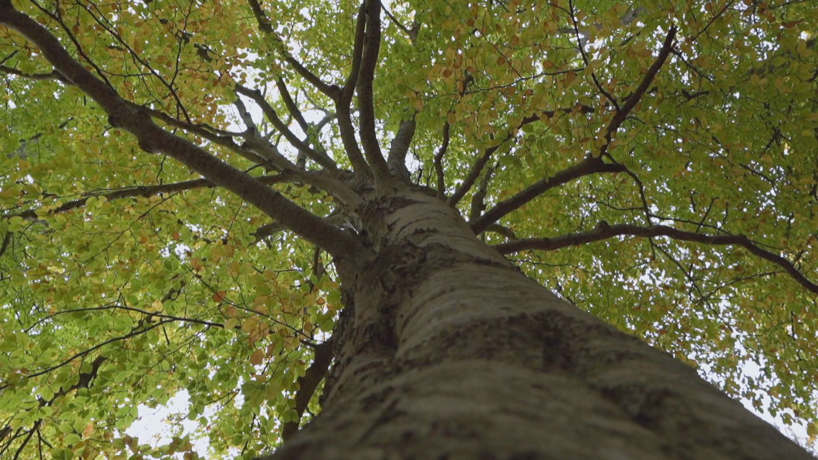 Agrosfera - 01/04/23 - ver ahora
