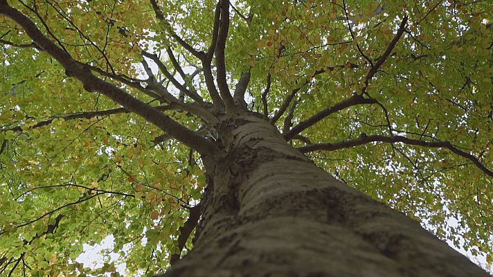 Agrosfera - Agrosfera - 01/04/23