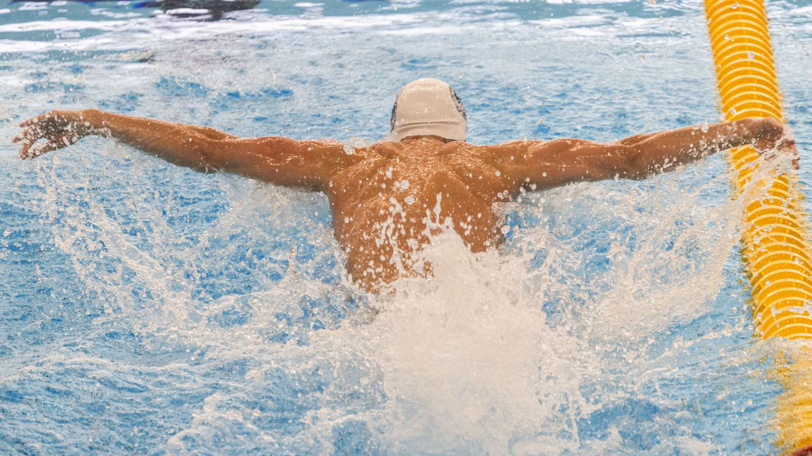 Natación - Campeonato de España Open, sesión matinal - ver ahora