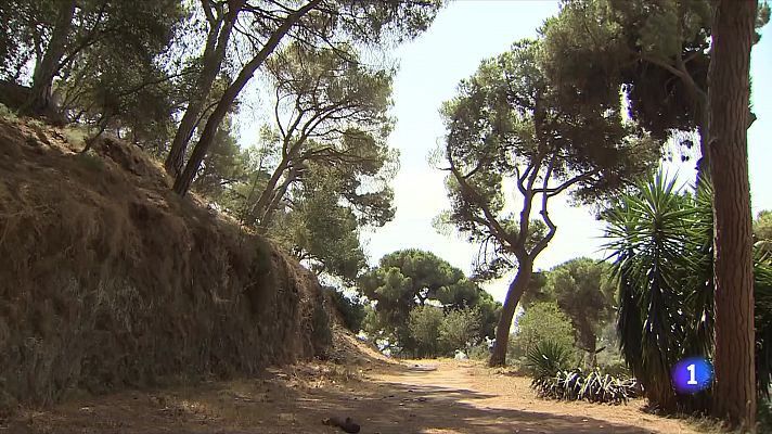 L'endemà del fracàs a la cimera de la sequera