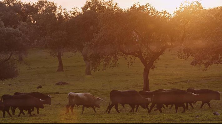 Tendido cero - Tendido cero - 01/04/23