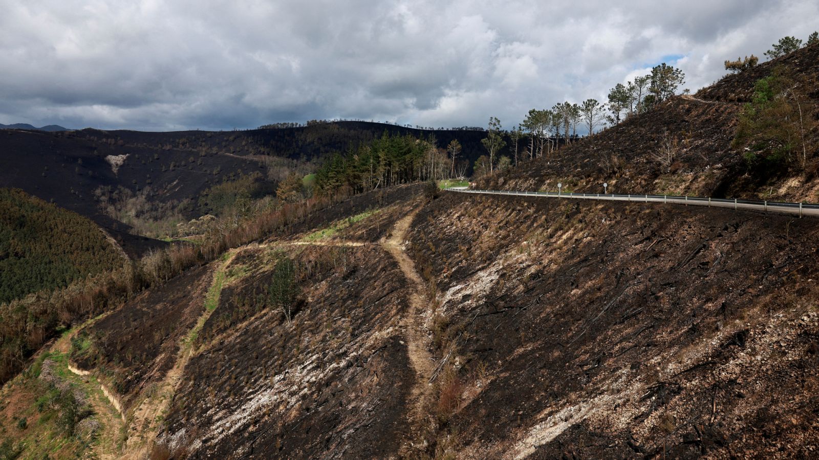 La lluvia ayuda a controlar el fuego en Asturias