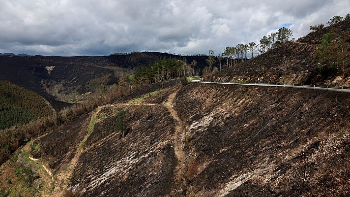 La lluvia ayuda a controlar los incendios en Asturias